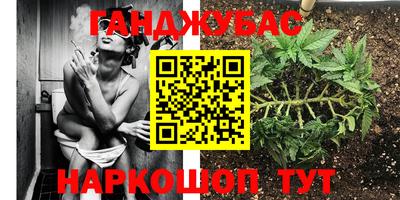 стафф Севастополь