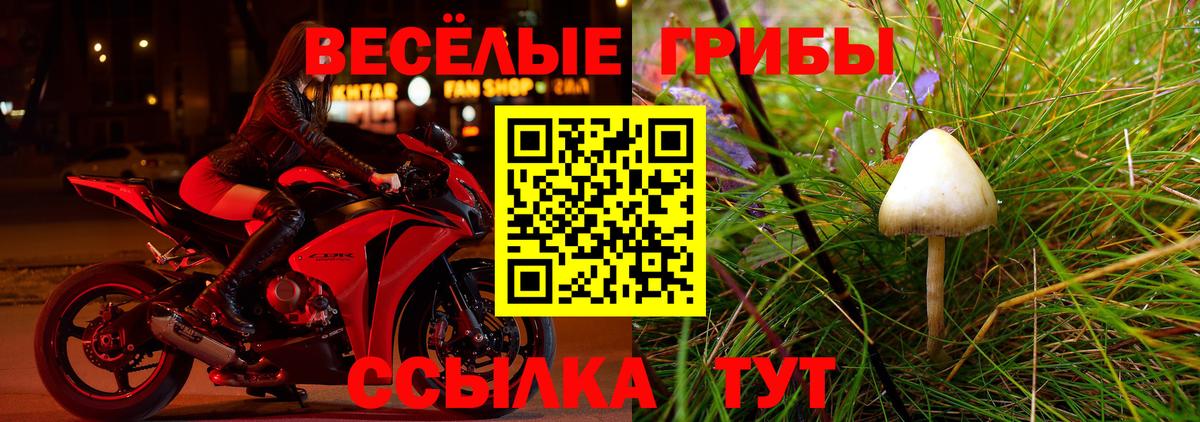 Псилоцибиновые грибы мицелий  Псилоцибиновые грибы Psilocybine cubensis  Саров  Вход с VPN 