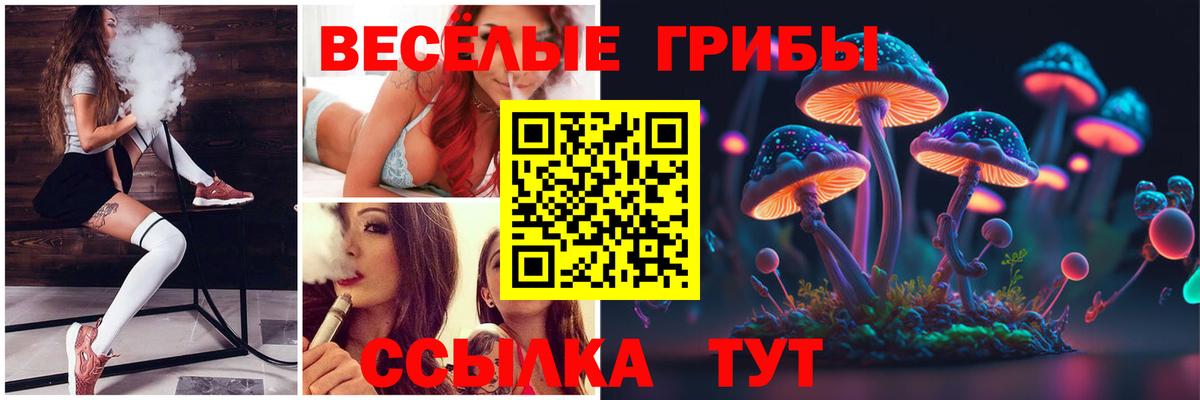 Галлюциногенные грибы Psilocybe Саров
